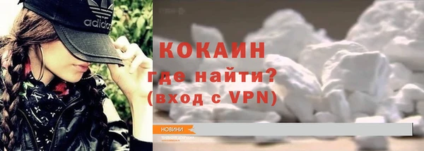 ГАЛЛЮЦИНОГЕННЫЕ ГРИБЫ Гусь-Хрустальный