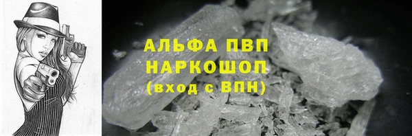 тгк Дмитриев