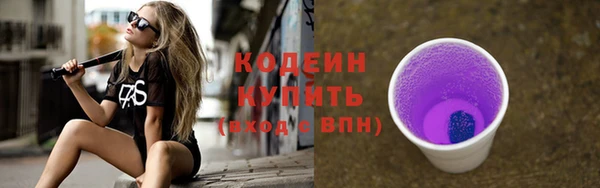 тгк Дмитриев