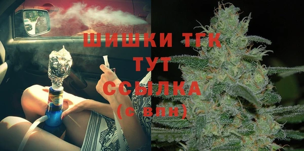 ГАЛЛЮЦИНОГЕННЫЕ ГРИБЫ Гусь-Хрустальный
