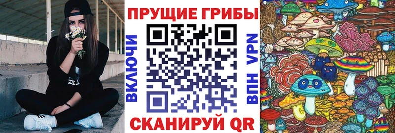 Галлюциногенные грибы Psilocybe  Заволжск 